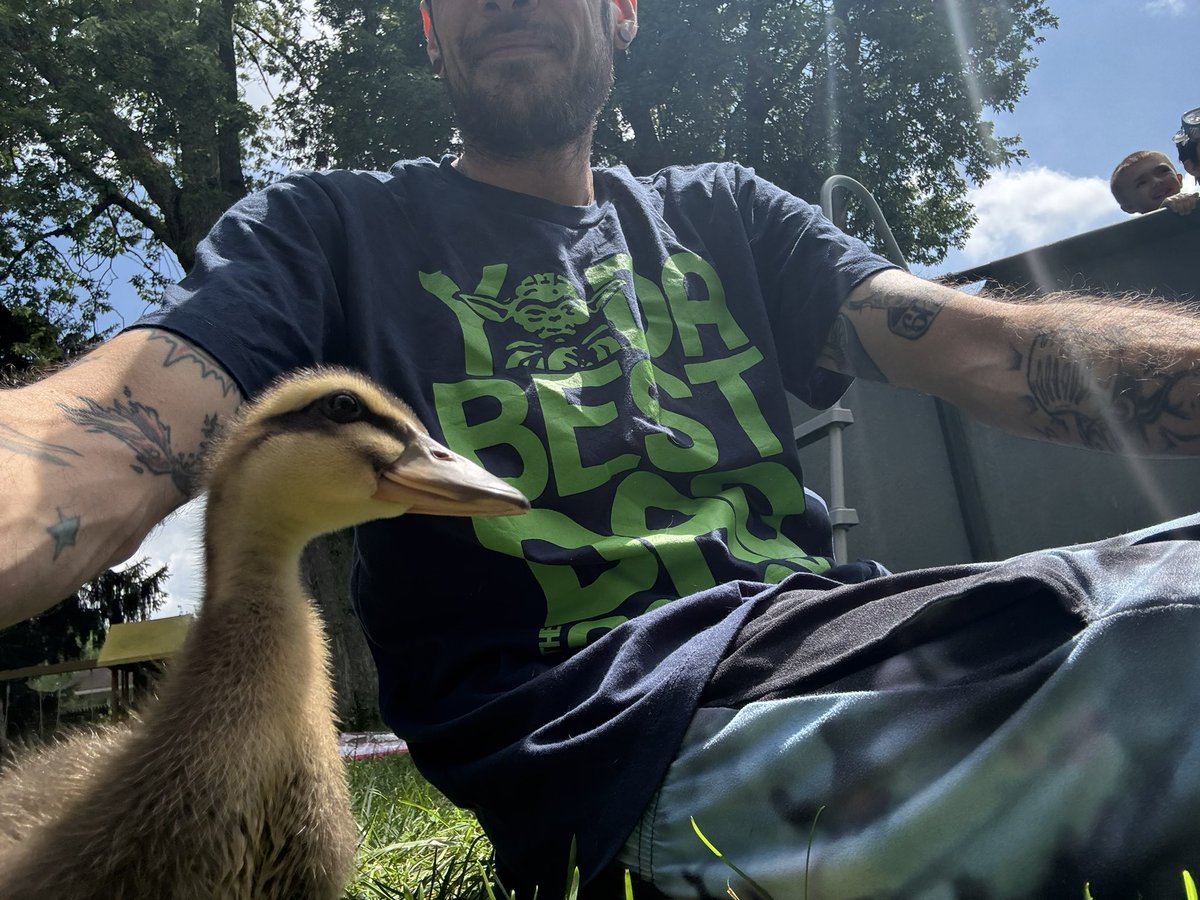 lol 

recent addition to the 
Tac- pack 🦆 

*he gets along with my Shepard* 🤷‍♂️