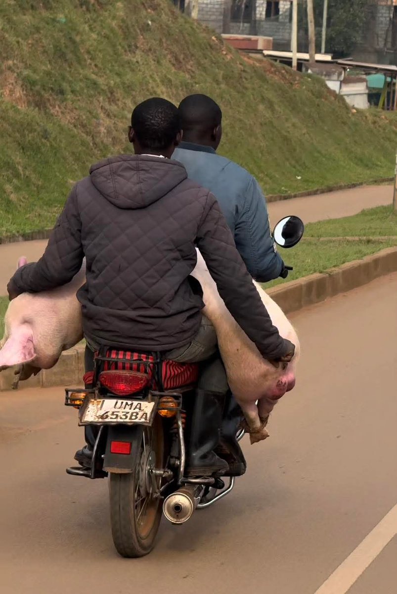 Brighto Dynasty carrying all his life savings...