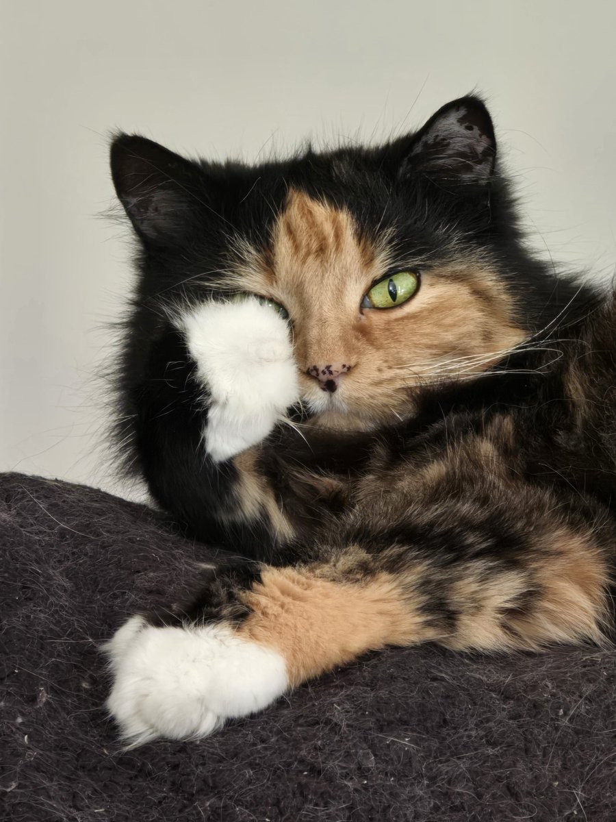 Charles Frake tweet media