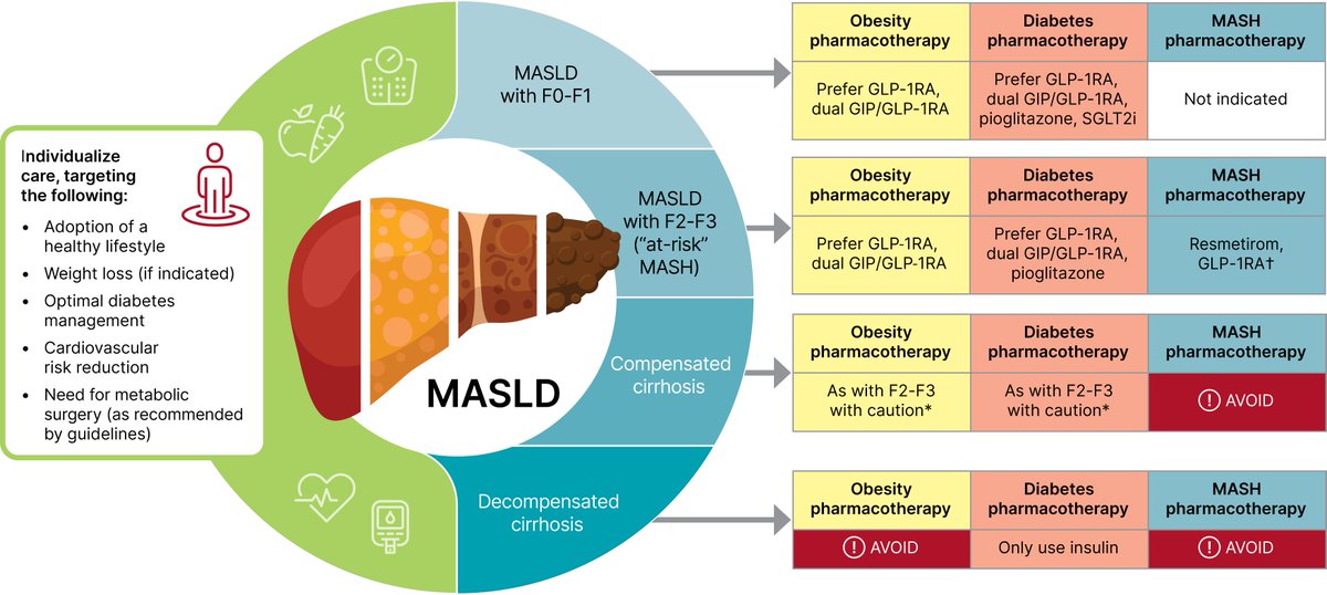 doctorbenlloch's tweet photo. 📢Interprofessional teams 🤝🙌🤝in patients with diabetes and MASLD: management, and liver monitoring 
ADA Consensus Report 2025.
Open: 👉https://t.co/iStdP5AXwL
@AEEHLiver @sociedadSEEN  @AmDiabetesAssn #FattyLiver #DiabetesAwareness #NAFLD https://t.co/S3X6lfaGTk