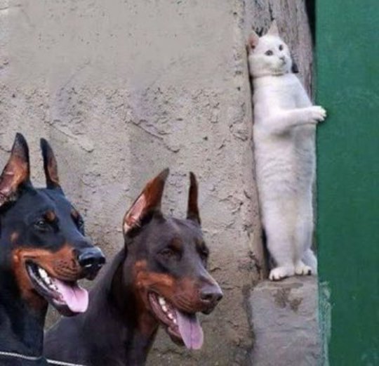 Follow 4 Follow 👇💯

<a href="/KentoddyM/">Kentoddy</a>
<a href="/lyalNotMohamed/">ÁwáPiano</a>
<a href="/bdvetsx/">Mitun Sarkar</a>
<a href="/Your_KingMaker/">Abu Augustine || ARI-CHAIN</a>
 <a href="/AnthonyJdango/">Anthony Stefhens</a>
<a href="/adiokorie/">Adi</a>
<a href="/Amoskipkosgeii/">Chekaa</a>
<a href="/mariaagold/">Maria</a>
<a href="/amaka_gemma/">Grandeur🎈🛍🎍Gcfr💫((PO)) Obidient🌹▪️🇳🇬🇱🇷</a>
<a href="/paularthur_oka/">Paul Arthur Oka</a>
<a href="/Vitalis3210/">Vitalis</a>
<a href="/hadihusein786/">༺۵❃⁮✧⃝♓🅰️𝖉ℹ️❃⁮✧⃝۵༻❤️🤍</a>
<a href="/life_meth_money/">LMM</a>
<a href="/Makuochukwu123/">Makuochukwu Sophia</a>
<a href="/Madekings1/">Humanity ❤️❤️❤️</a>
<a href="/FionaYate/">Fiona Yate</a>
<a href="/lewiskinoti_/">KINOTI🇰🇪</a>
<a href="/UCxmn/">𝒂𝒄𝒕𝒊𝒗𝒆 🇺🇸</a>
<a href="/DaninhoEze/">Eze Daninho</a>

ADD+