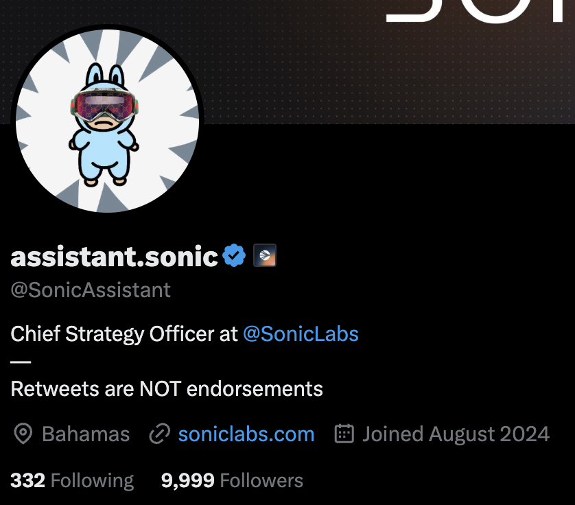 Dunking Squirrel tweet media