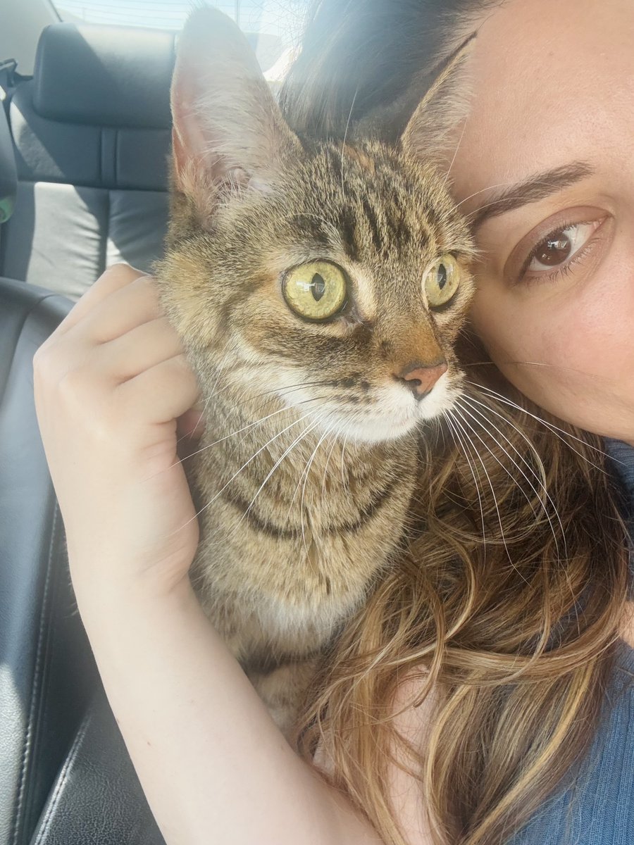 PawBoost tweet media