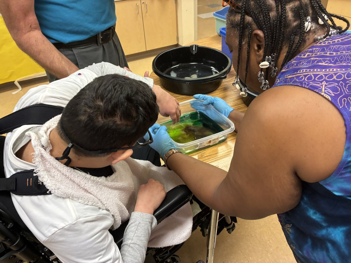 Longviewlion's tweet image. Finished up a great first week of summer learning with some milk fireworks! Great job @A_Leizear for leading the fun! #handsonlearning @MCPS