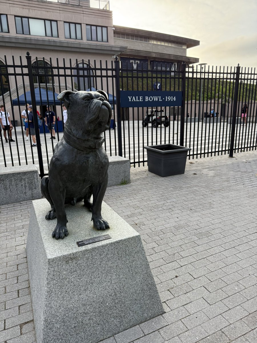 Joseph Russo tweet media