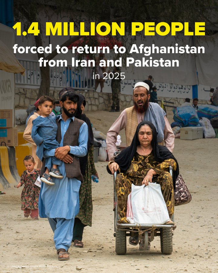 United Nations (@un) on Twitter photo 1.4 million people have been forced to return to Afghanistan – many are exhausted, hungry & scared.
They are returning under extremely difficult conditions, often not by choice.
<a href="/Refugees/">UNHCR, the UN Refugee Agency</a> says more funding is needed to support families on the move. bit.ly/4kkiMhG 1.4 million people have been forced to return to Afghanistan – many are exhausted, hungry & scared.
They are returning under extremely difficult conditions, often not by choice.
<a href="/Refugees/">UNHCR, the UN Refugee Agency</a> says more funding is needed to support families on the move. bit.ly/4kkiMhG