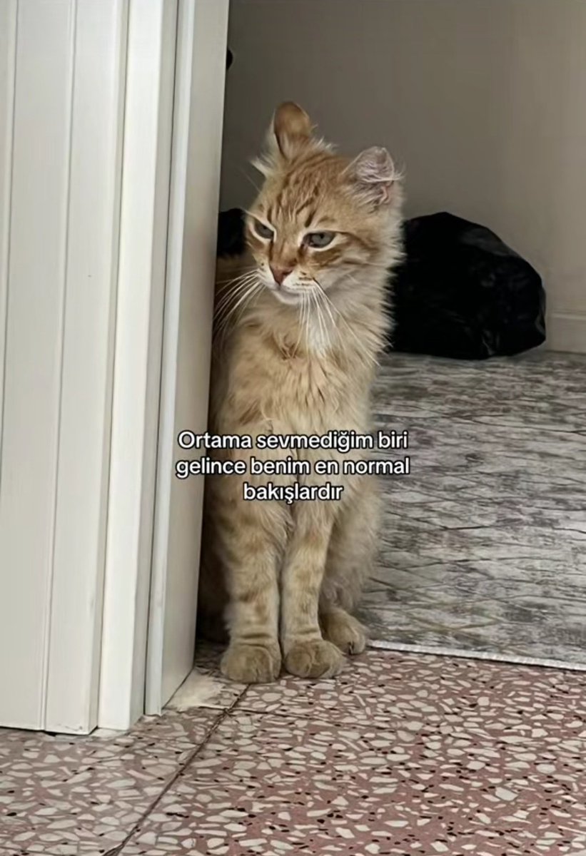 sinem (@kimbusnem) on Twitter photo 