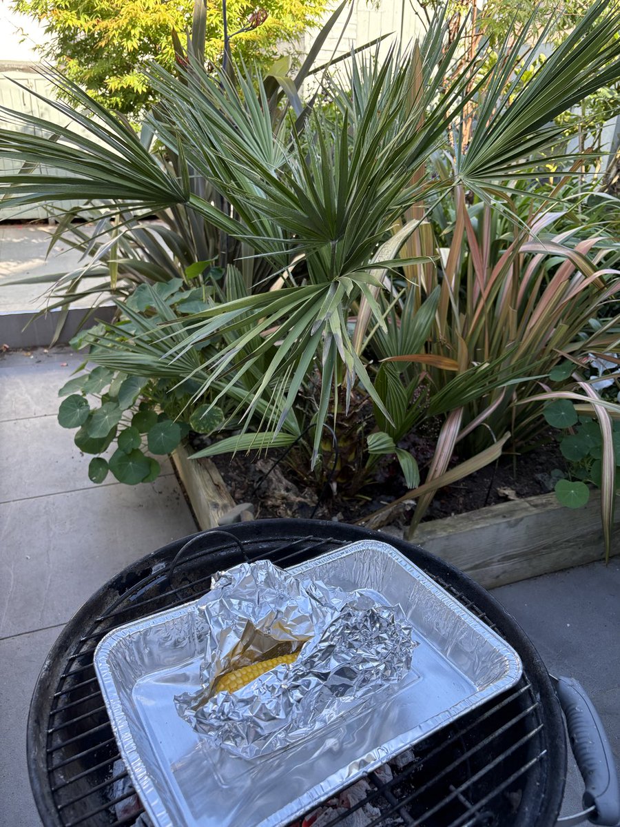 HelenORahilly's tweet image. A rare outing for the BBQ…the flavour of BBQ grilling is so good. Now for the steak…