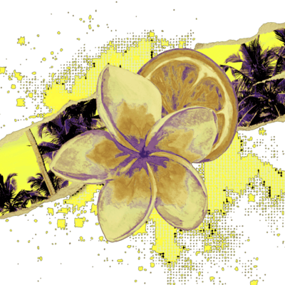 MANDAFISHR's tweet image. 𝚆̷𝚑̷𝚎̷𝚗̷ 𝚝̷𝚑̷𝚎̷ 𝚜̷𝚞̷𝚗̷ 𝚐̷𝚘̷𝚎̷𝚜̷ 𝚍̷𝚘̷𝚠̷𝚗̷, 𝚈̷𝚘̷𝚞̷ 𝚌̷𝚊̷𝚗̷ 𝚑̷𝚎̷𝚊̷𝚛̷ 𝚝̷𝚑̷𝚒̷𝚜̷ 𝚋̷𝚘̷𝚍̷𝚢̷ 𝚑̷𝚘̷𝚠̷𝚕̷….