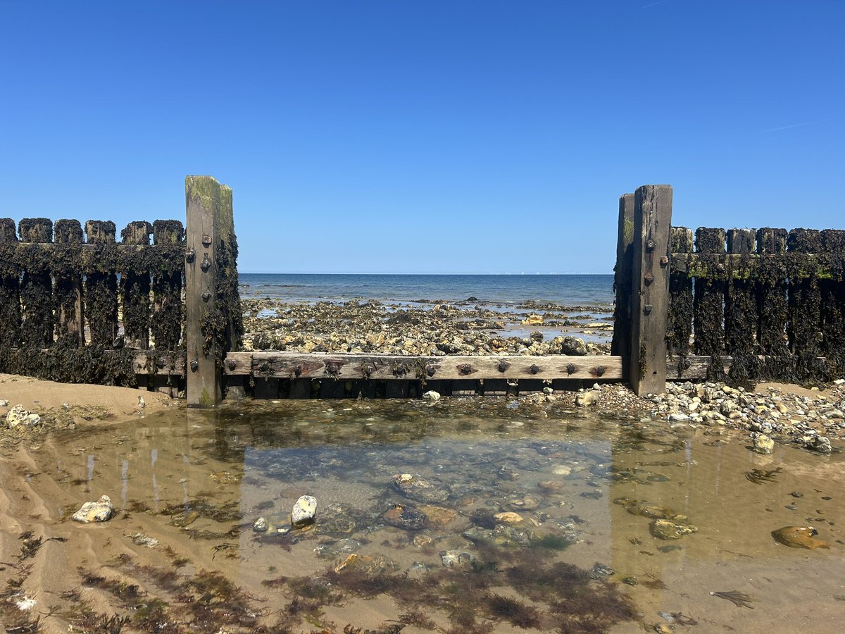 Anthony Curton Primary (@anthonycurton) on Twitter photo Year 3 & Penguins <a href="/TASPrimary/">Tilney All Saints Church Of England Primary School</a> had a fantastic time at West Runton Beach with the <a href="/NorfolkWT/">Norfolk Wildlife Trust</a>, exploring the coastline, the role of waves, erosion and sea defences and of course looking for fossils in support of our <a href="/PKCKST/">Primary Knowledge Curriculum</a> topics this year! 🏖️🌊 Year 3 & Penguins <a href="/TASPrimary/">Tilney All Saints Church Of England Primary School</a> had a fantastic time at West Runton Beach with the <a href="/NorfolkWT/">Norfolk Wildlife Trust</a>, exploring the coastline, the role of waves, erosion and sea defences and of course looking for fossils in support of our <a href="/PKCKST/">Primary Knowledge Curriculum</a> topics this year! 🏖️🌊