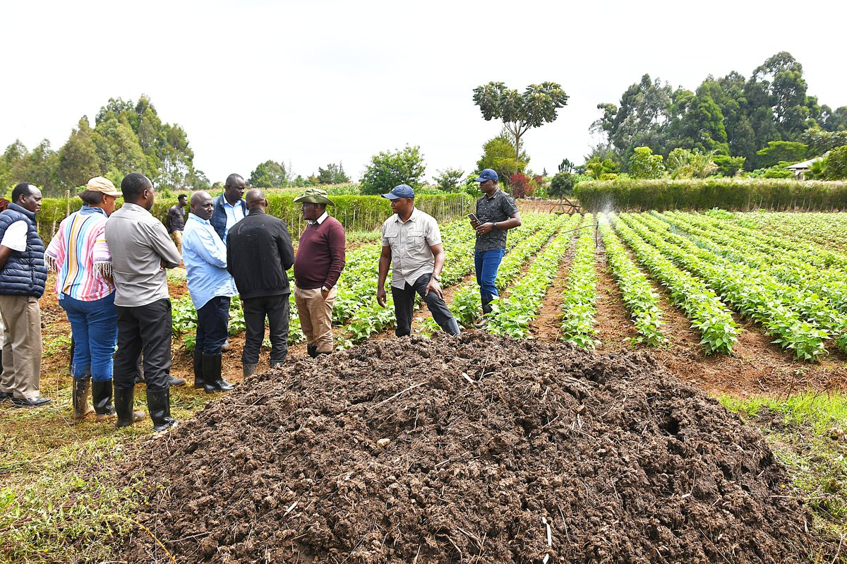 EphantusKim's tweet image. Earlier today, I had the opportunity to interact with farmers benefiting from irrigation projects in Uasin Gishu County. I witnessed firsthand the transformative impact these initiatives are having in the region. Accompanied by officials from the National Irrigation Authority, we…