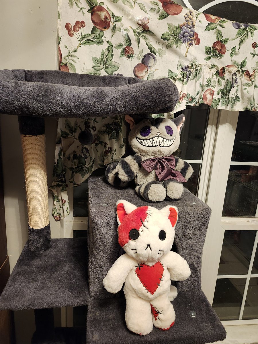 TheNerdyCatLady's tweet image. I think you&apos;ve already seen this, but it&apos;s a #PlushieDreadful version of my cat that I wanna get as a tattoo some day! #StayDreadful