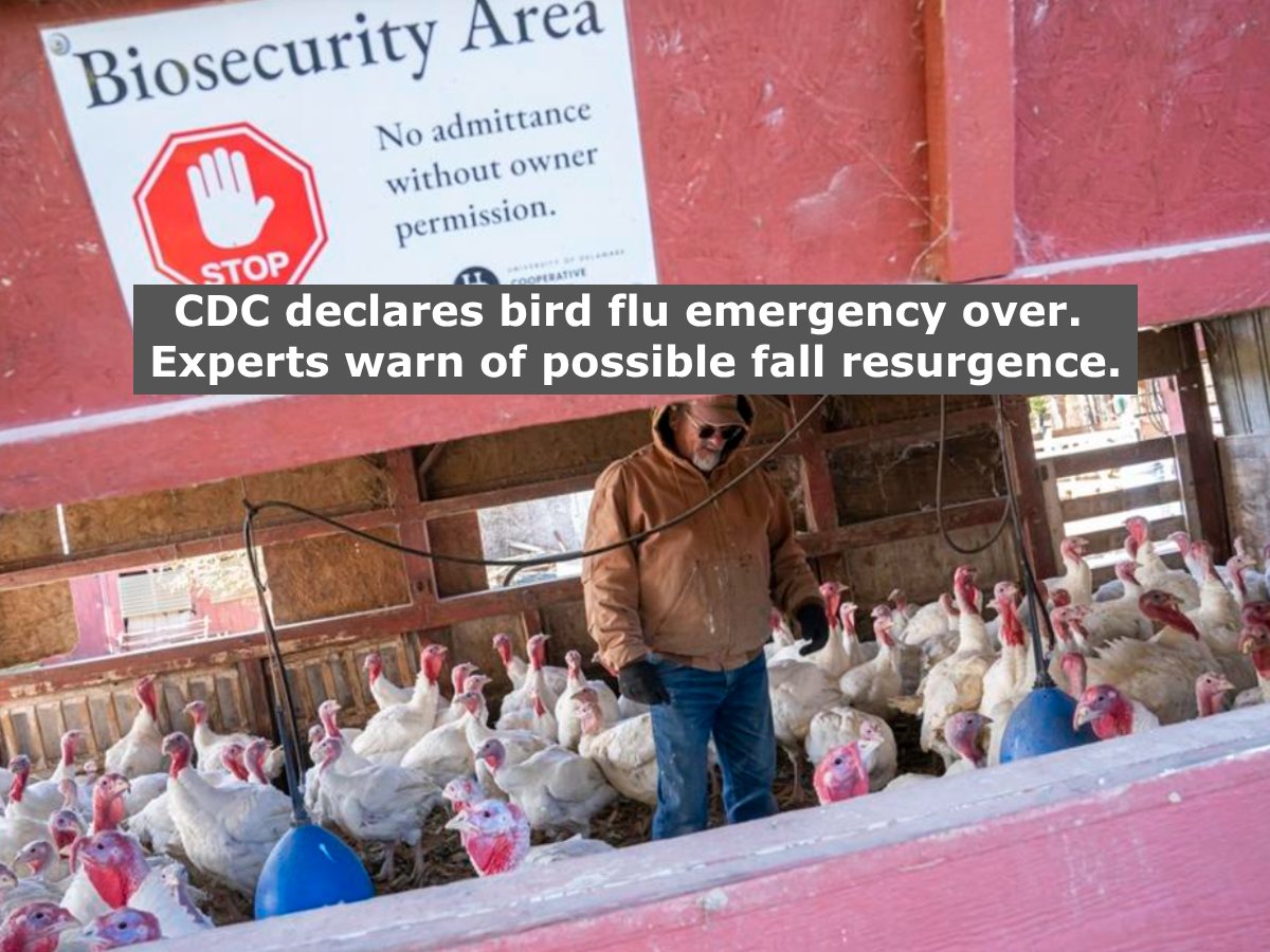 Immunize_USA's tweet image. CDC ends emergency response to H5N1 bird flu due to declining animal infections and absence of human cases, but experts worry about a resurgence.
cnn.com/2025/07/07/hea…
#immunizations #vaccine #publichealth #birdflu #h5n1
Donate
immunizeusa.salsalabs.org/donatetotip202…