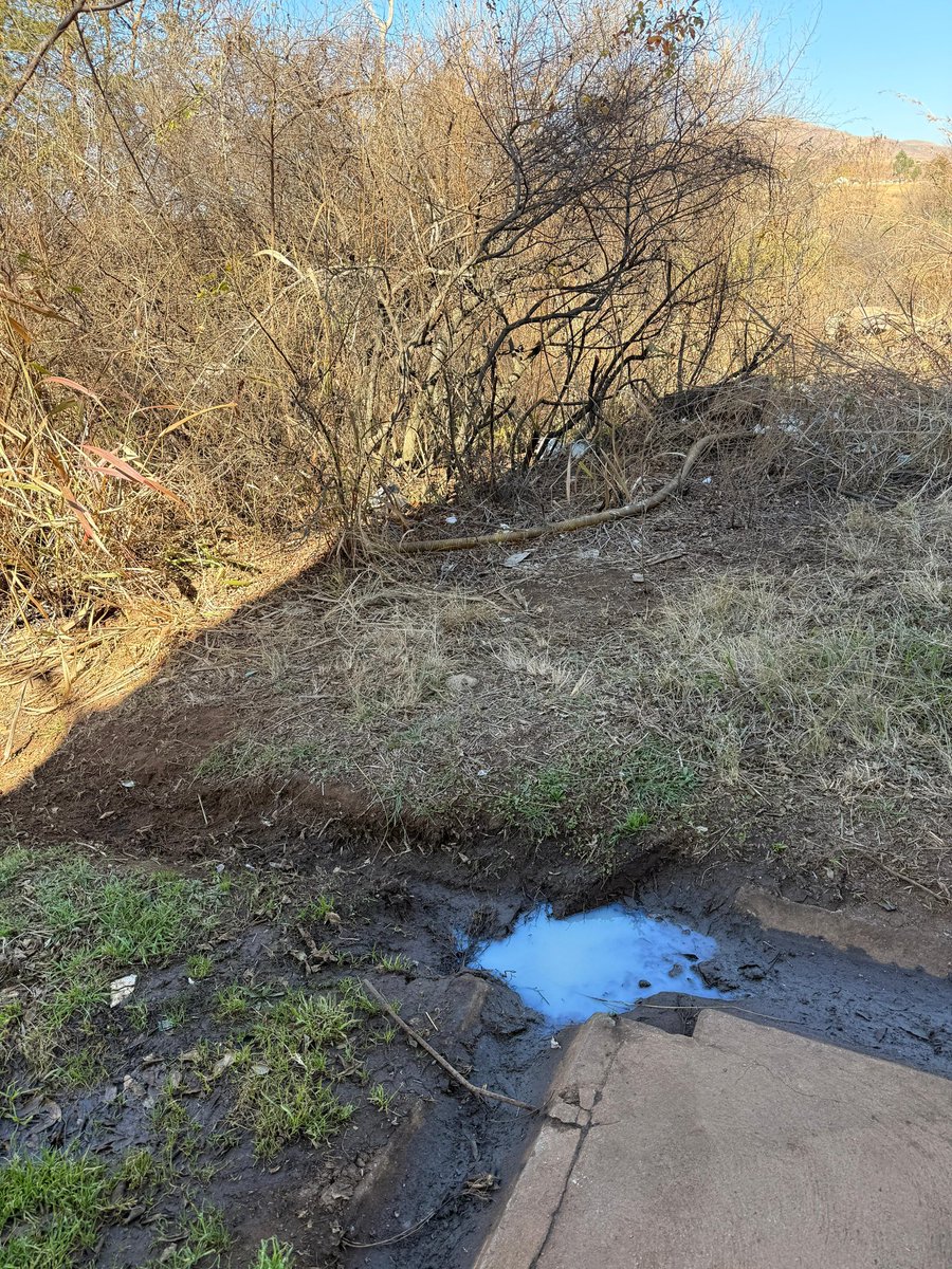 oupapilane's tweet image. Mpumalanga Tourism and Paks agency is a liability to tourism development and job creation in Mp and it must be exposed for its inefficiency.
You cannot extort money from tourists to pay for the luxuries in your offices.
MTPA is killing our tourism in Mp @Mandla_Ndl
