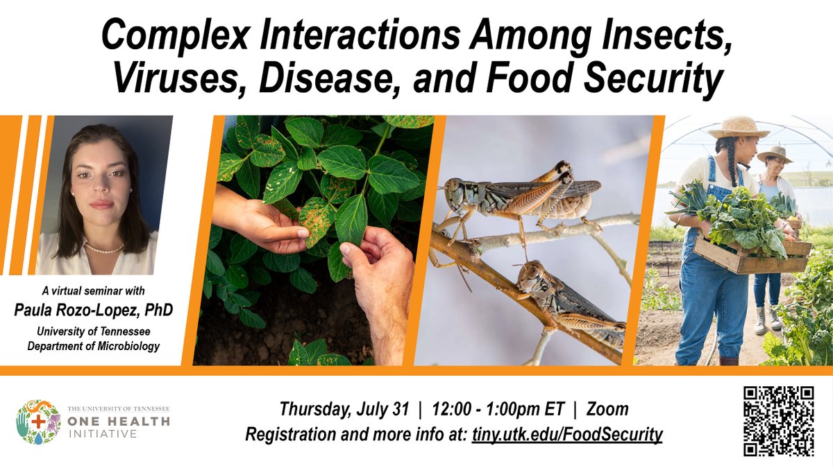 UTOneHealth's tweet image. Tune in on 7/31 to hear Paula Rozo-Lopez talk about the interactions between #Insects, #Viruses, #Disease, & #FoodSecurity, and what those interactions mean through the lens of #OneHealth. Register via Zoom: tiny.utk.edu/FoodSecurity.