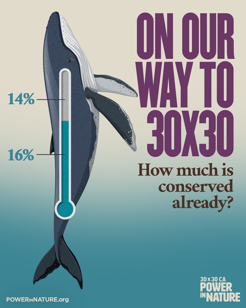 Power in Nature tweet media