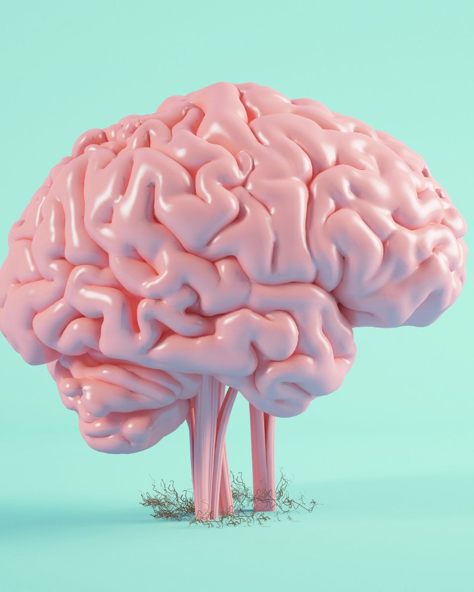 BrainWiseMedia's tweet image. For individuals with TBI, happiness can become more elusive—but not unreachable. As highlighted in Anna Bryant Harris’s story, damage to the frontal lobe can reshape emotional processing and the pursuit of happiness. 

#TBIRecovery #Neurorehabilitation

brainwisemedia.com/where-does-hap…