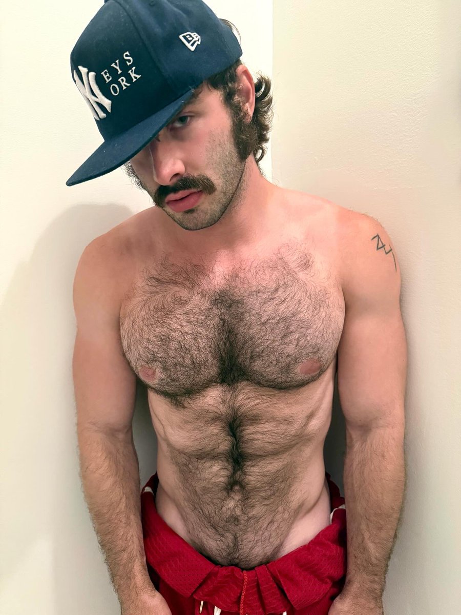 gallipony tweet media