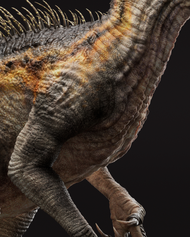 3D Character Artist Portfolio by Lea Reichhart from PIXL VISN | media arts academy - therookies.co/entries/36990

#AutodeskMaya #ZBrush #FoundryMARI #Adobe3DSubstancePainter #MarvelousDesigner #ArnoldforMaya #cgi #3drendering #3dartist #digitalart