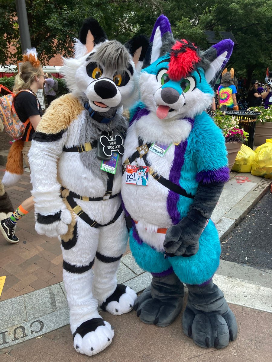 DJ Whole Milk (@dj_whole_milk2) on Twitter photo Happy #FursuitFriday! It's DJ and Maxi at #Anthrocon this year ^^
๐บ: <a href="/MaxiWolfdog/">Maxi Wolfdog ๐AFC</a>
๐ธ: <a href="/bluegold1026/">Ben & The Sweetheart Squad ๐ MCFC, AC</a> Happy #FursuitFriday! It's DJ and Maxi at #Anthrocon this year ^^
๐บ: <a href="/MaxiWolfdog/">Maxi Wolfdog ๐AFC</a>
๐ธ: <a href="/bluegold1026/">Ben & The Sweetheart Squad ๐ MCFC, AC</a>