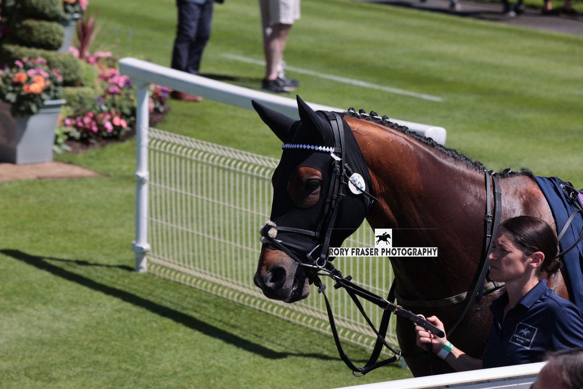 Rory Fraser Photography🤘 tweet media