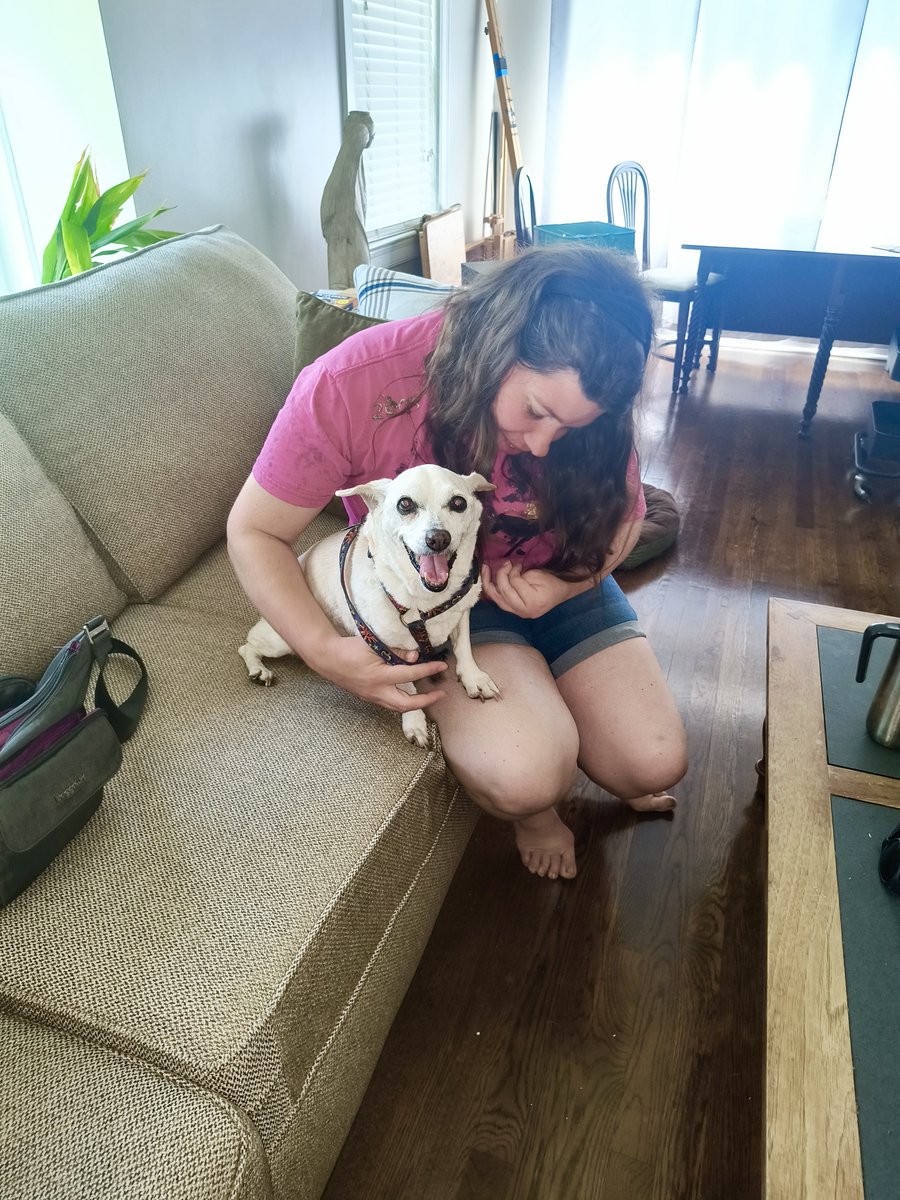 PawBoost tweet media