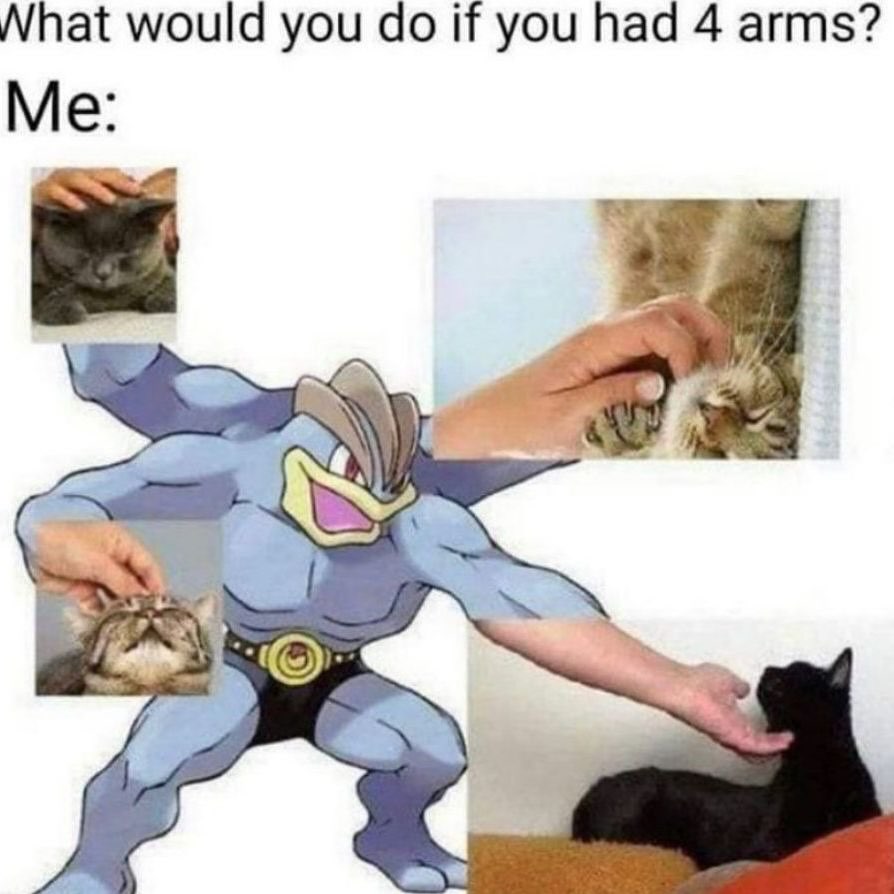 Punch Cat tweet media