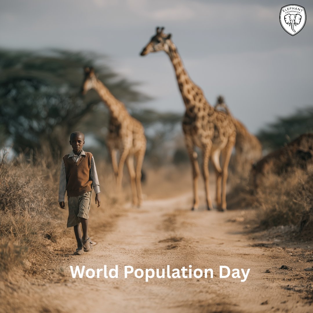 ElephantCoop's tweet image. 🌍 By 2050, Africa’s population will double—putting pressure on land, people, and elephants.
This #WorldPopulationDay, support community-led solutions that protect habitats and empower people.
➡️ Donate: elephantcooperation.com/donate
#CooperateToCoexist #ElephantConservation