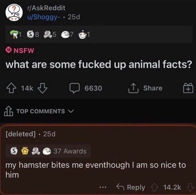 internet hall of fame tweet media