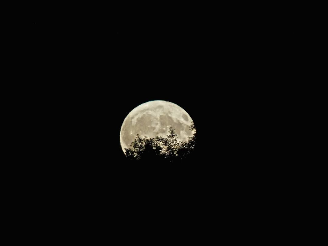 jessrdingle96's tweet image. July's Full Buck Moon was beautiful! After not being able to get it last month, the past few nights have certainly made up for it. 😍🌝 #buckmoon #fullmoonvibes