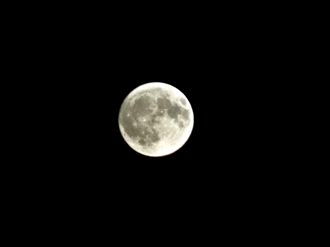 jessrdingle96's tweet image. July's Full Buck Moon was beautiful! After not being able to get it last month, the past few nights have certainly made up for it. 😍🌝 #buckmoon #fullmoonvibes