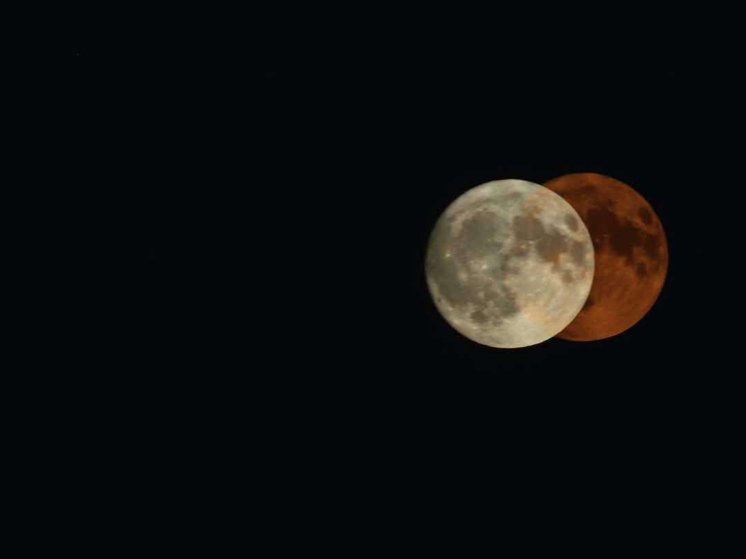 jessrdingle96's tweet image. July's Full Buck Moon was beautiful! After not being able to get it last month, the past few nights have certainly made up for it. 😍🌝 #buckmoon #fullmoonvibes