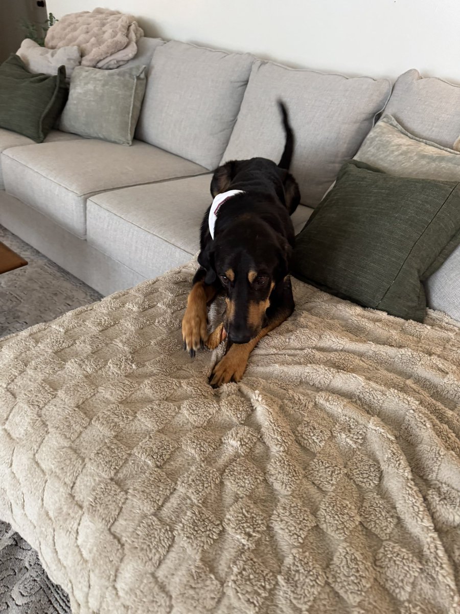 My bestie today for about 20 minutes when he needed a ride home to his foster mama’s house