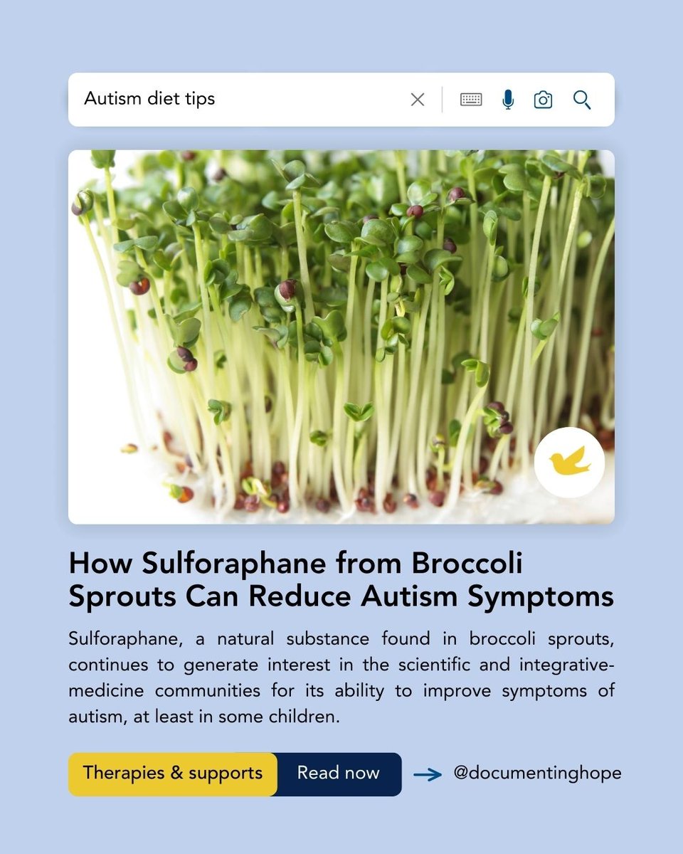 DocumentingHope's tweet image. Could broccoli sprouts ease autism symptoms? 🧠🌿
Sulforaphane—a compound in sprouts—may reduce oxidative stress, calm brain inflammation & improve social behavior.
Read the science + practical tips: documentinghope.com/how-sulforapha…