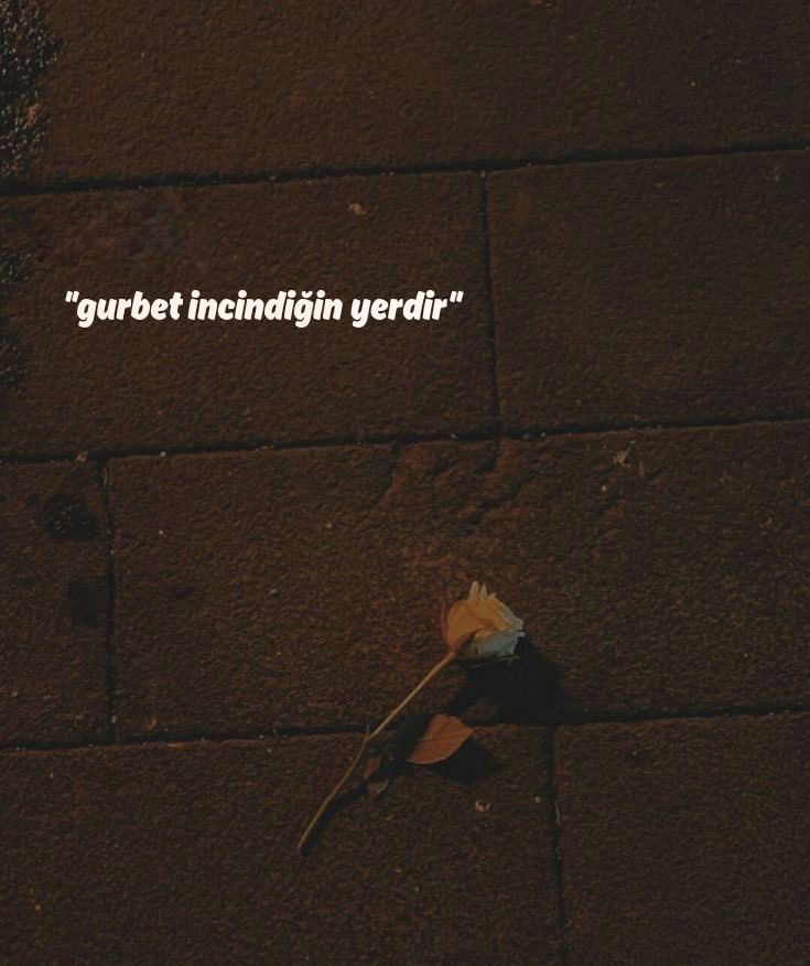 Ophelia (@opheliart_1) on Twitter photo 