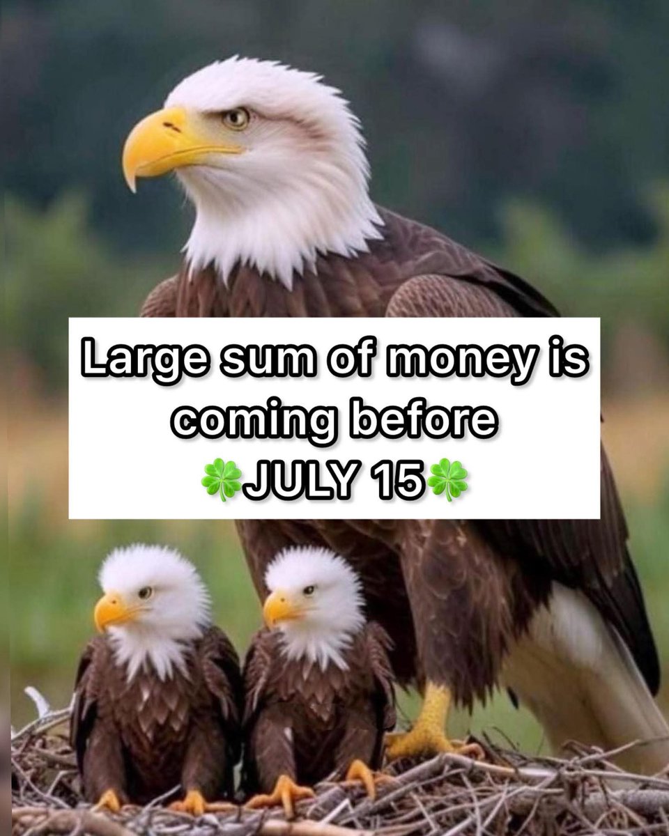 Inside Manifestation tweet media