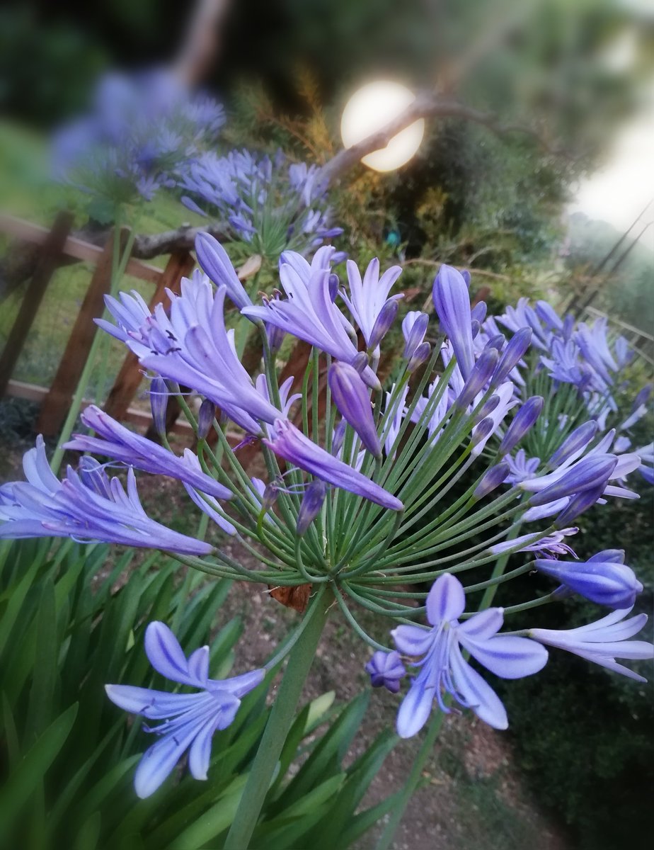 .

Mommy's landscape

.