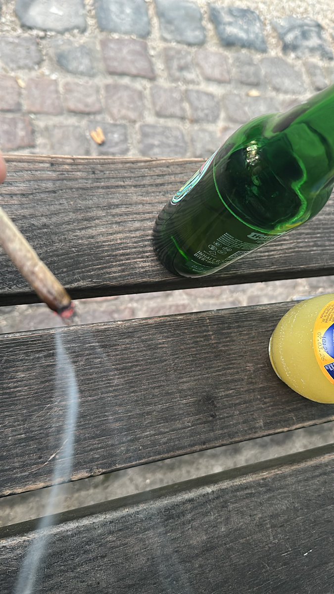 rauche joint, trinke heineken &amp; furze gottlos im park