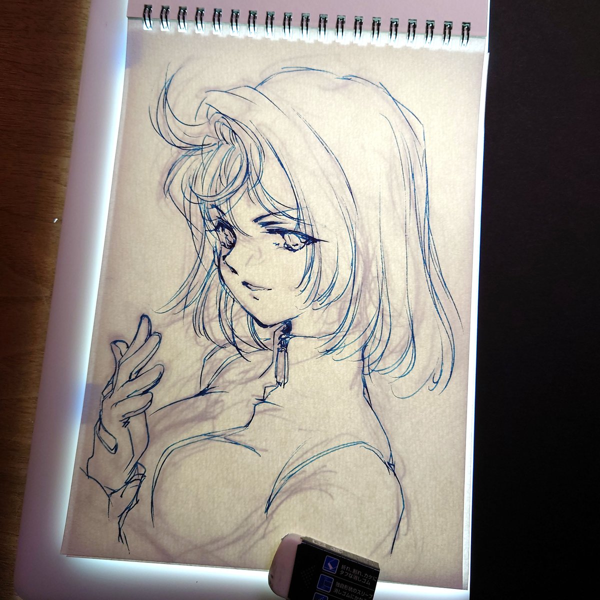 そうか・・、トレス台使って別の紙にペン入れしたら、トレスした後に下描きと見比べながら微調整ができるじゃん・・。
下描きのほうがえてして勢いがあるから。。 