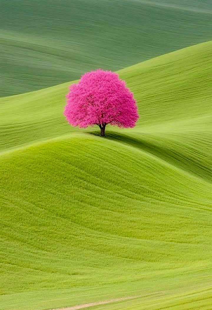 ℨ𝔢𝔢𝔰𝔥𝔞𝔫 𝔦𝔮𝔟𝔞𝔩 𝔥𝔲𝔰𝔰𝔞𝔦𝔫 (@iqb9786) on Twitter photo <a href="/AhemedCaptain/">Captain Sarfaraz AHEMED</a> <a href="/IshfaqK91565040/">Khan KlAt</a> <a href="/TariqMa74536196/">Baig ⁱᴾⁱᵃⁿ</a> <a href="/ZahirSh28875781/">Zahir Shah پی ٹی آئی</a> <a href="/SarfarazAhemed/">Sarfaraz AHEMED</a> <a href="/blackpowerjunio/">Deni ya china</a> <a href="/hamidbukhari07/">Hamid Bukhari</a> <a href="/Lasthope804/">عمران میرا غرور 🌹</a> <a href="/SSad_IK_804/">IK PTI ZB</a> <a href="/Jivaralimani/">Yemeni from the blessed land</a> <a href="/OSabahci/">Özkan Sabahci</a> <a href="/10Pirzada/">°✮°مســـــکان Kђāŋ °✮°</a> <a href="/Qs3488/">Qamar Shahzad🦅</a> <a href="/cr77ksa/">cr7-ksa</a> <a href="/anm40/">Anam Kanwal</a> <a href="/glmsjd/">𝑺𝒂𝒋𝒋𝒂𝒅 ✨</a> <a href="/jitin84/">Jitin Sharma</a> <a href="/Ghz21/">⍟𝐆𝐡𝐚𝐳𝐚𝐥𝐚 𝐒𝐚𝐝𝐚𝐟⍟</a> <a href="/Fat9T/">Arshia🥀🍂</a> <a href="/Ejz55/">👉𝐄ᴊᴀᴢ 𝐇ᴀsʜᴍi👈</a> <a href="/Ho0r____/">ℍ𝕆𝕆ℝ𝕀𝕐𝔸 👑</a> Thanks captain Sarfaraz bro <a href="/AhemedCaptain/">Captain Sarfaraz AHEMED</a> <a href="/IshfaqK91565040/">Khan KlAt</a> <a href="/TariqMa74536196/">Baig ⁱᴾⁱᵃⁿ</a> <a href="/ZahirSh28875781/">Zahir Shah پی ٹی آئی</a> <a href="/SarfarazAhemed/">Sarfaraz AHEMED</a> <a href="/blackpowerjunio/">Deni ya china</a> <a href="/hamidbukhari07/">Hamid Bukhari</a> <a href="/Lasthope804/">عمران میرا غرور 🌹</a> <a href="/SSad_IK_804/">IK PTI ZB</a> <a href="/Jivaralimani/">Yemeni from the blessed land</a> <a href="/OSabahci/">Özkan Sabahci</a> <a href="/10Pirzada/">°✮°مســـــکان Kђāŋ °✮°</a> <a href="/Qs3488/">Qamar Shahzad🦅</a> <a href="/cr77ksa/">cr7-ksa</a> <a href="/anm40/">Anam Kanwal</a> <a href="/glmsjd/">𝑺𝒂𝒋𝒋𝒂𝒅 ✨</a> <a href="/jitin84/">Jitin Sharma</a> <a href="/Ghz21/">⍟𝐆𝐡𝐚𝐳𝐚𝐥𝐚 𝐒𝐚𝐝𝐚𝐟⍟</a> <a href="/Fat9T/">Arshia🥀🍂</a> <a href="/Ejz55/">👉𝐄ᴊᴀᴢ 𝐇ᴀsʜᴍi👈</a> <a href="/Ho0r____/">ℍ𝕆𝕆ℝ𝕀𝕐𝔸 👑</a> Thanks captain Sarfaraz bro