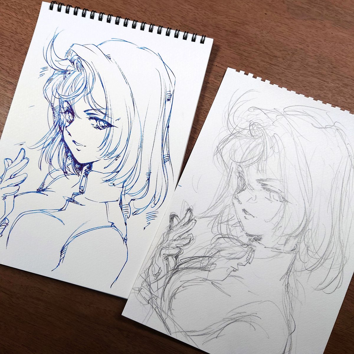 そうか・・、トレス台使って別の紙にペン入れしたら、トレスした後に下描きと見比べながら微調整ができるじゃん・・。
下描きのほうがえてして勢いがあるから。。 