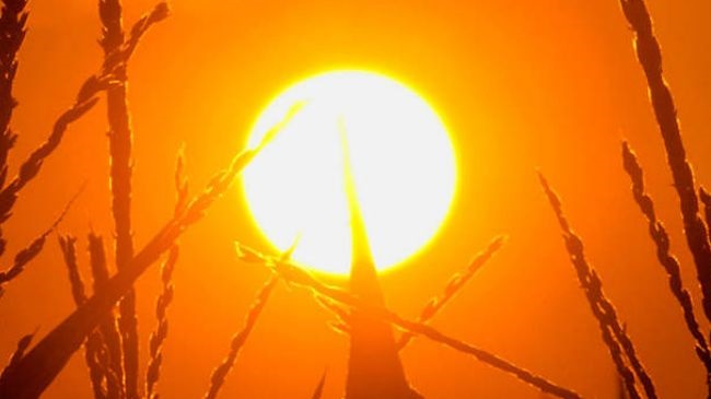A widespread late-June heatwave impacted much of the central and eastern U.S., and brought record-setting temperatures. Find out what parts of the country experienced record heat and wild weather in our latest weather blog: wdrb.news/3GCGtEe