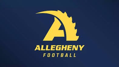 J_SerranoRoss's tweet image. Had a great phone call with @Coach_Layer ! Really looking forward coming up for a visit or a game day in the fall!
@PAPrepsRivals @CoachDaignault
@AlleghenyFB @LIBERTYATHCLUB