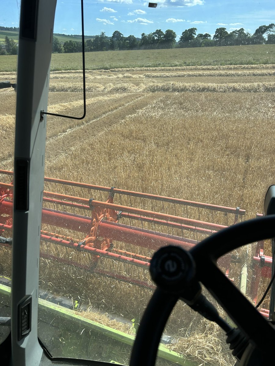 Mark McCallum tweet media