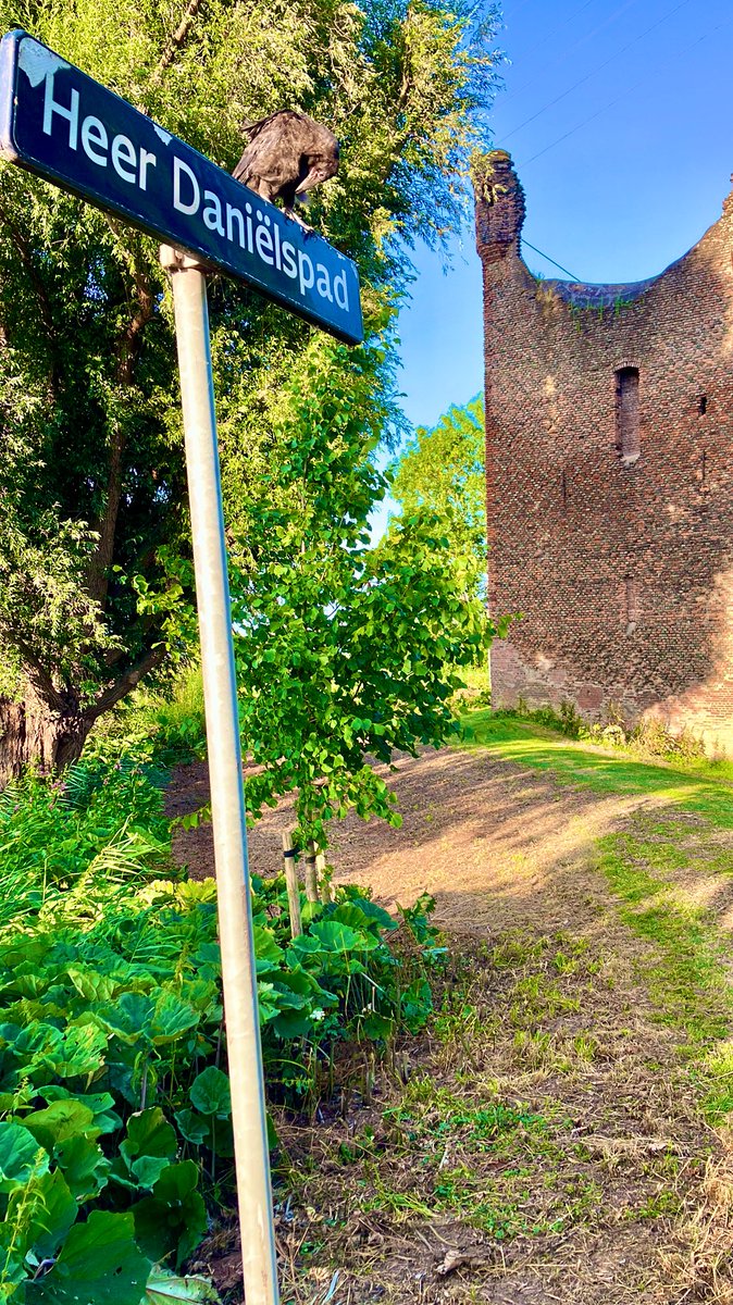Jong bezoek op het Huis vanavond… 😀
(Klik voor groot)