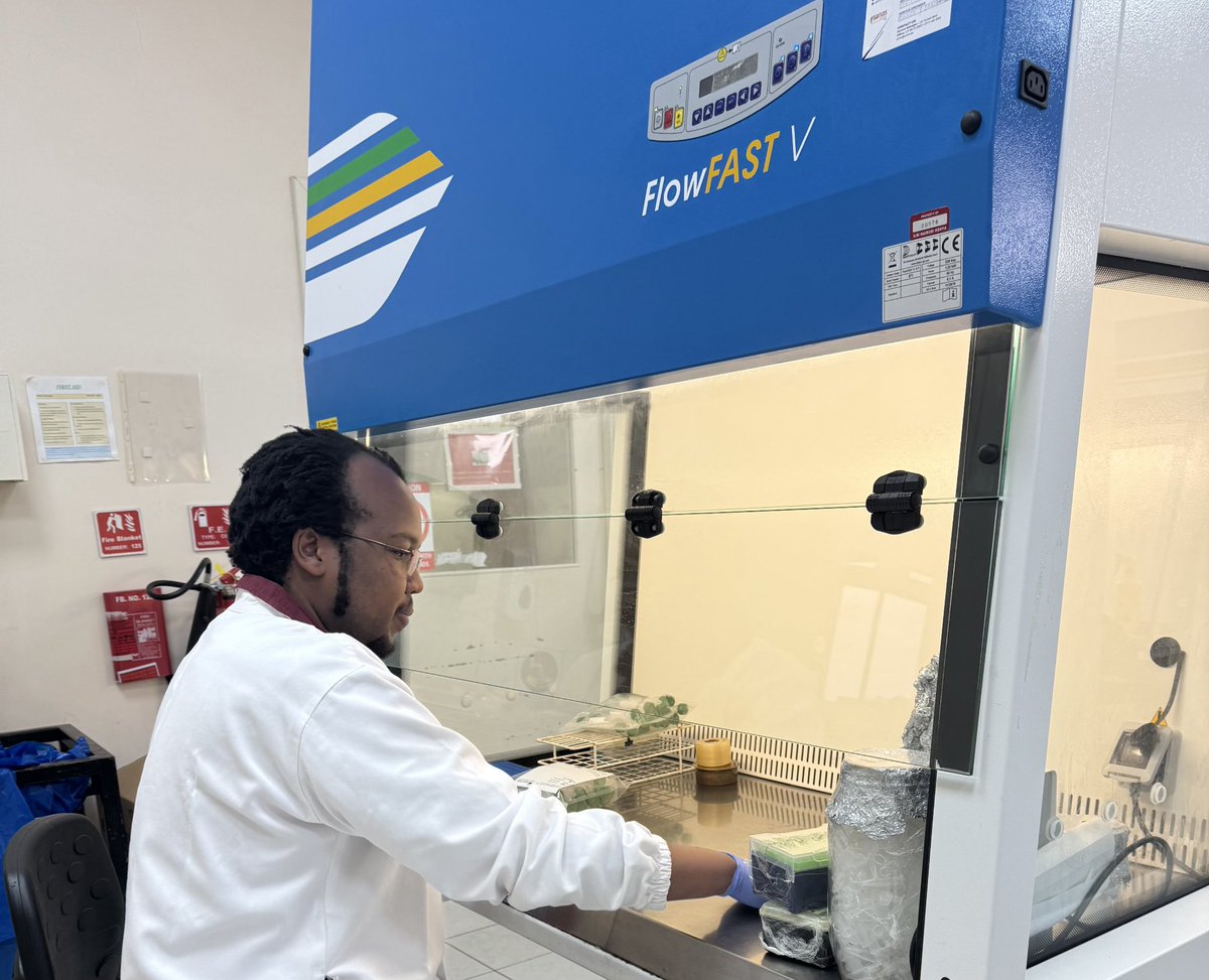 Trying to find solutions to real-life problems #biotech