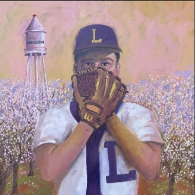 LHS Wolves Baseball tweet media