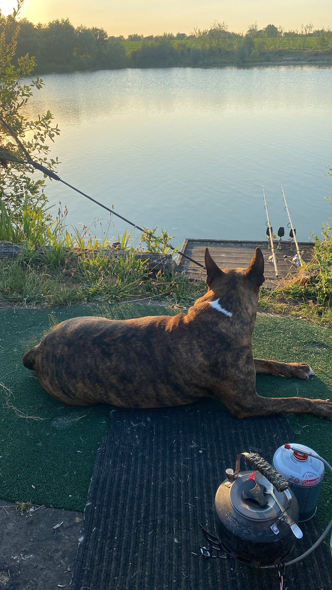 Shaun keane (@keane_shaun121) on Twitter photo 