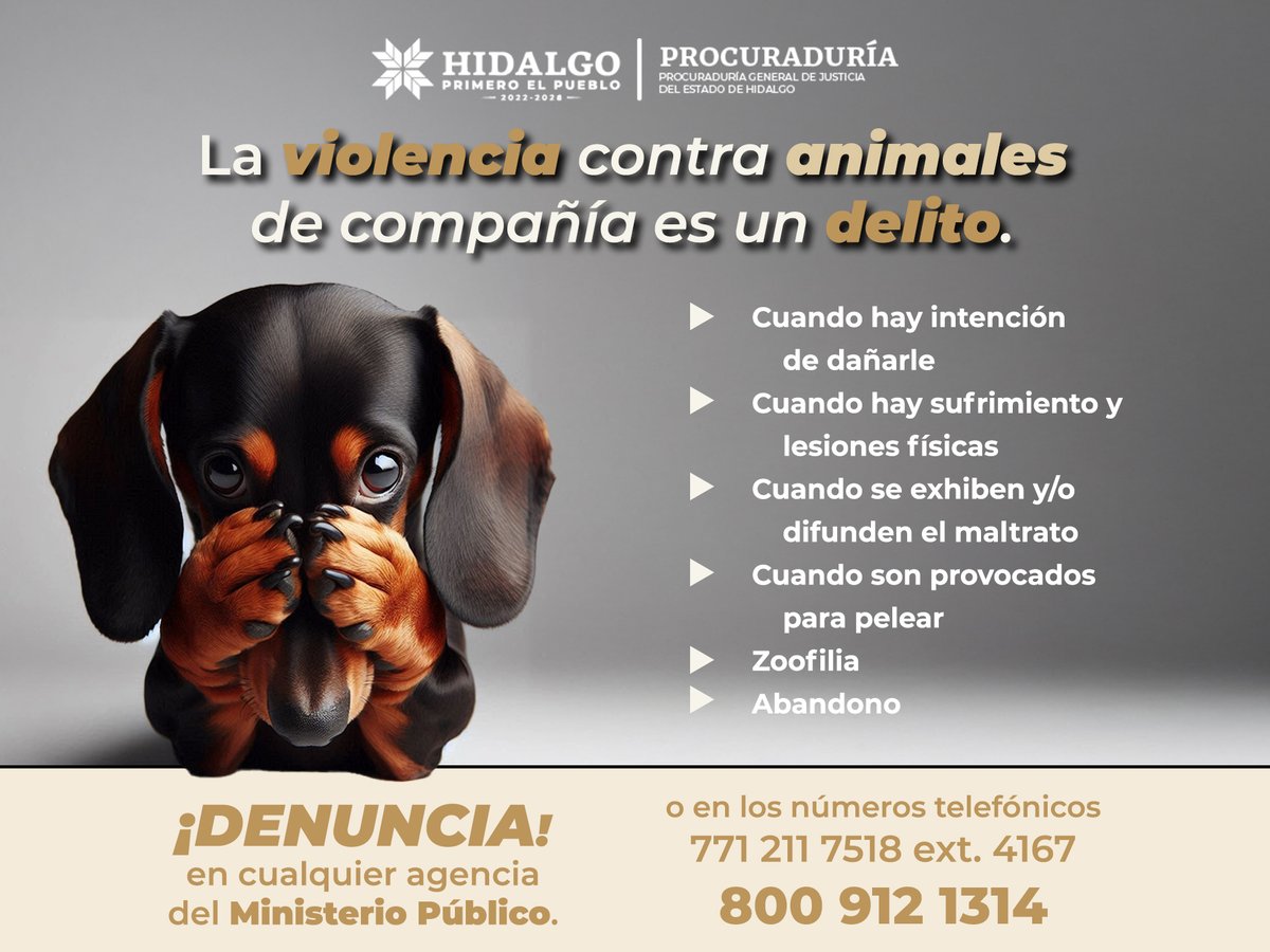 gobiernohidalgo's tweet photo. 🐾Los animales no pueden pedir ayuda, pero tú sí puedes alzar la voz por ellos.
🆘Si ves maltrato denuncia ante el Ministerio Público.
📱Comunícate al: 771 211 7518 Ext. 4167 (en horario de 09:00 a 17:00 horas) o al 800 912 1314 las 24 horas.
#NoAlMaltratoAnimal https://t.co/YT9GoTZxWI