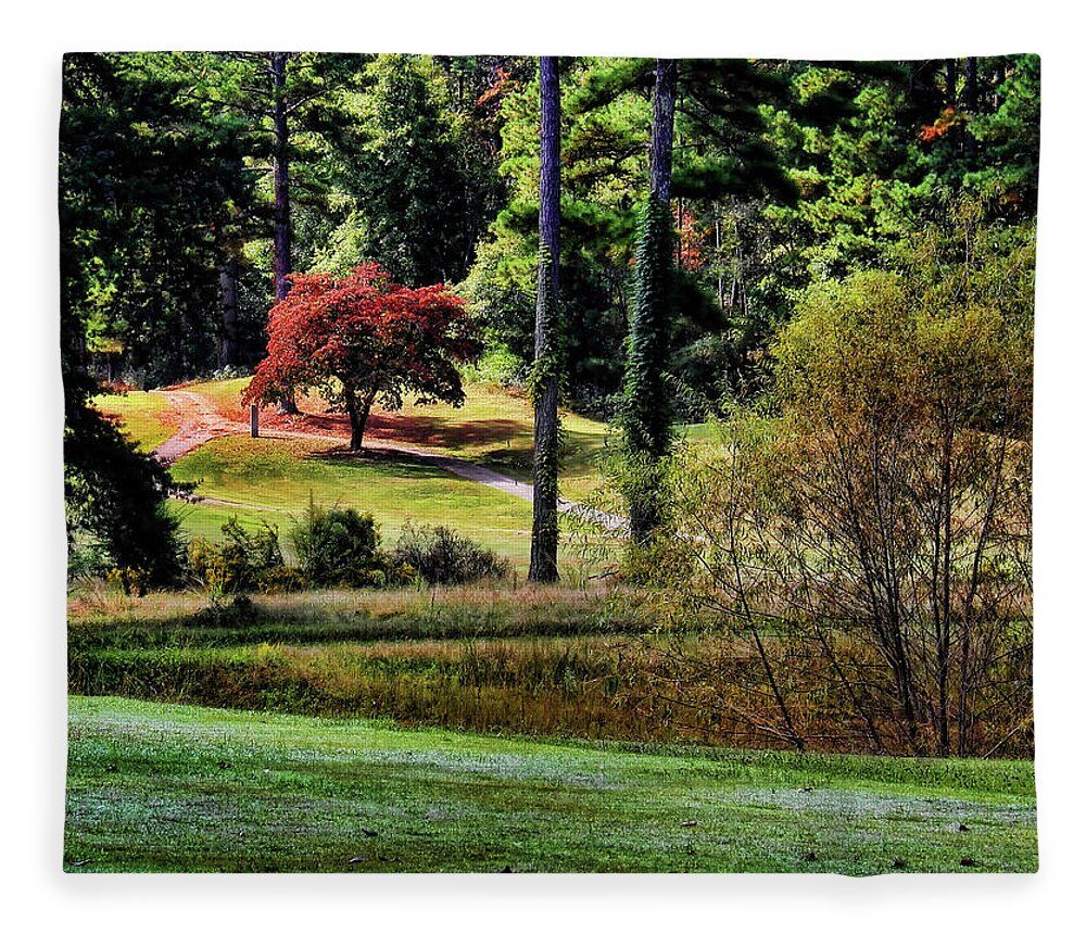 #Fall in #Alabama #blanket Available as plush fleece or sherpa fleece Also available as #wallart and on other products #nature #giftideas #BuyIntoArt 
See all products here ---> buff.ly/Lc10iJy